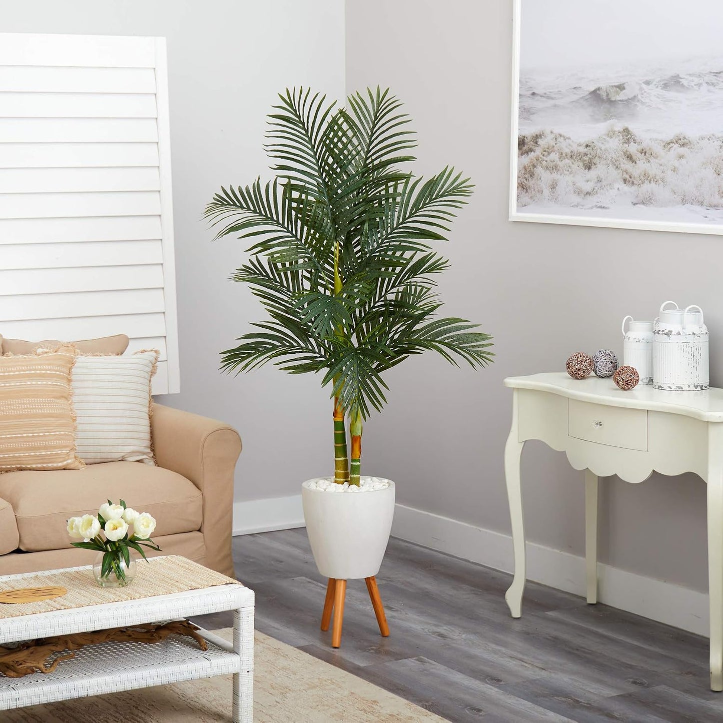 🌴 Golden Cane Palm Tree Triple Pack in Black Pot