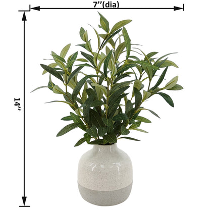 14" Indoor Artificial Olive Plant in Two-Tone Ceramic Vase