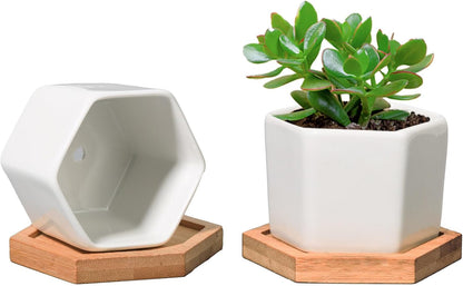 🌵 White Geometric Succulent Planters with Bamboo Trays (Set of 2)