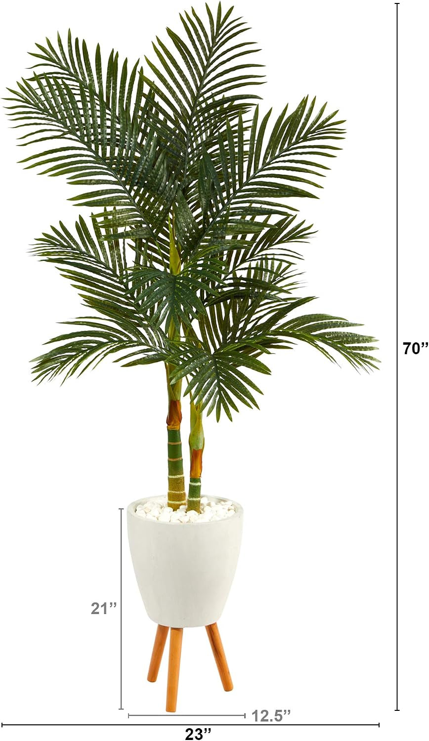 🌴 Golden Cane Palm Tree Triple Pack in Black Pot