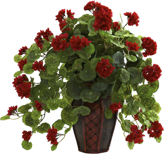 Geranium with Decorative Planter