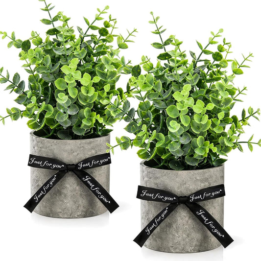 2 Pack Small Eucalyptus Plant, 8.6"