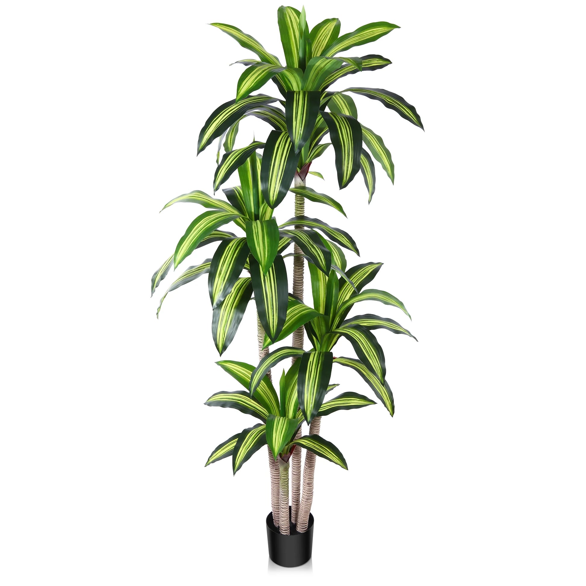🌿 6-Foot Artificial Dracaena Tree in Black Planter