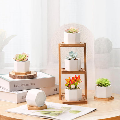 🌵 White Geometric Succulent Planters with Bamboo Trays (Set of 2)