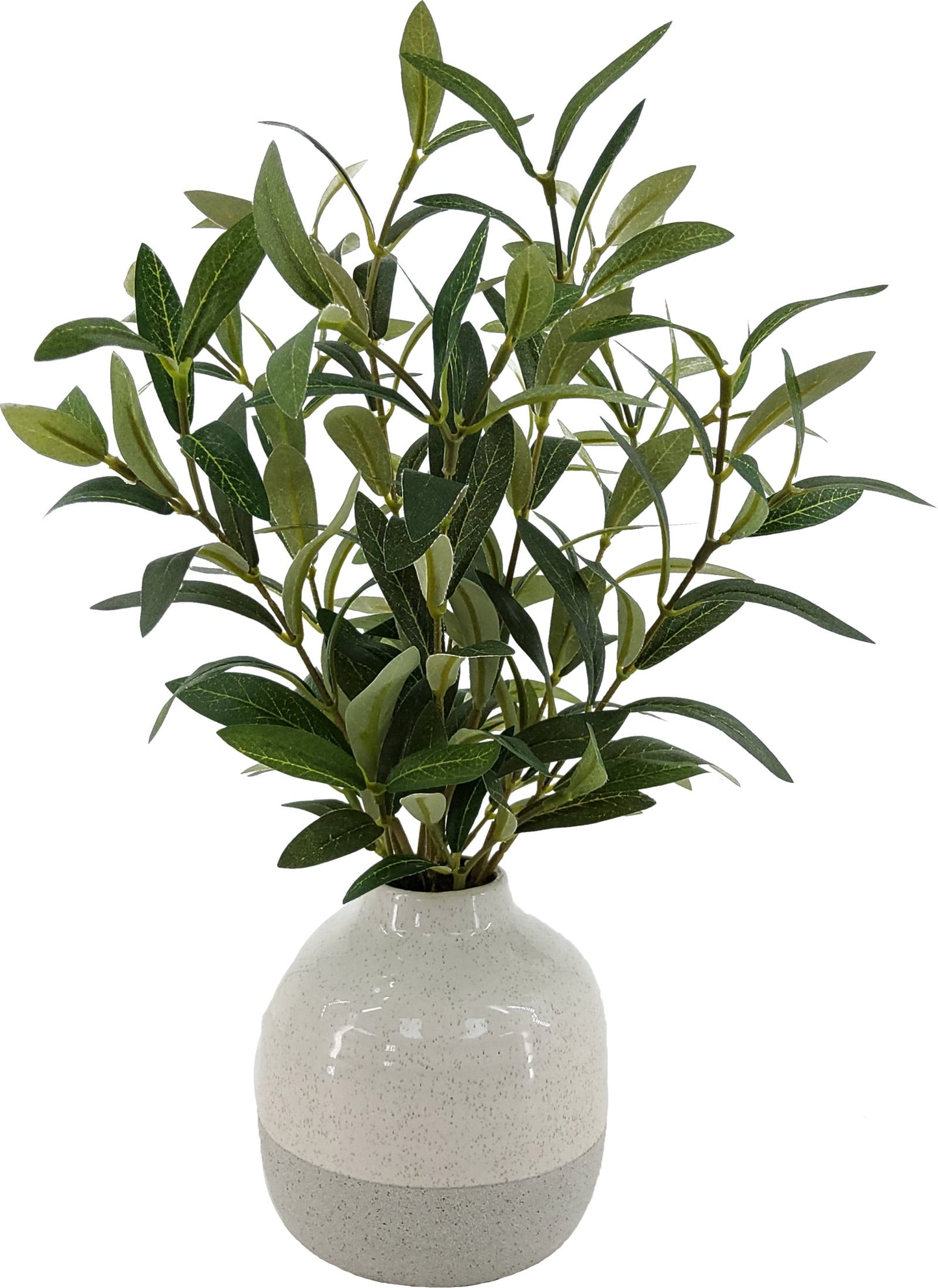 1 Pack Medium Size Olive Plant in Ceramic Vase for Table Decor