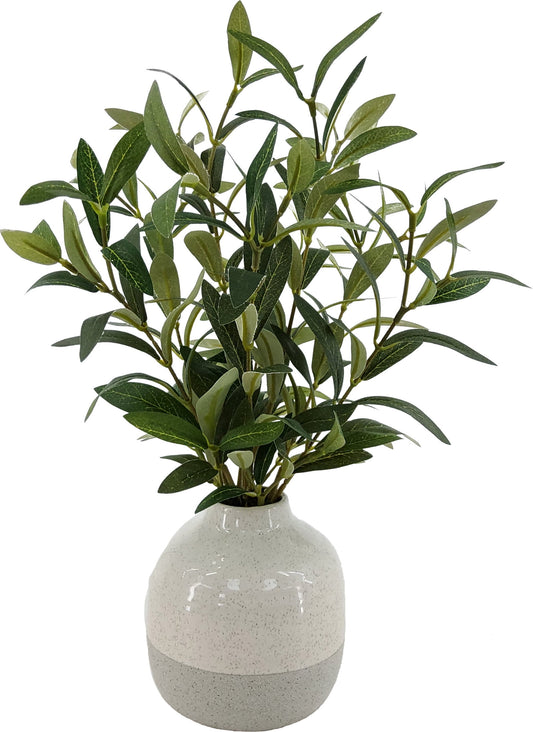1 Pack Medium Size Olive Plant in Ceramic Vase for Table Decor