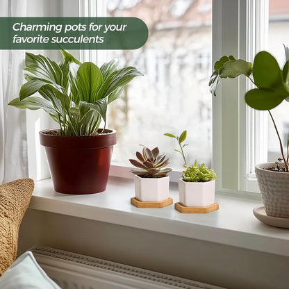 🌵 White Geometric Succulent Planters with Bamboo Trays (Set of 2)