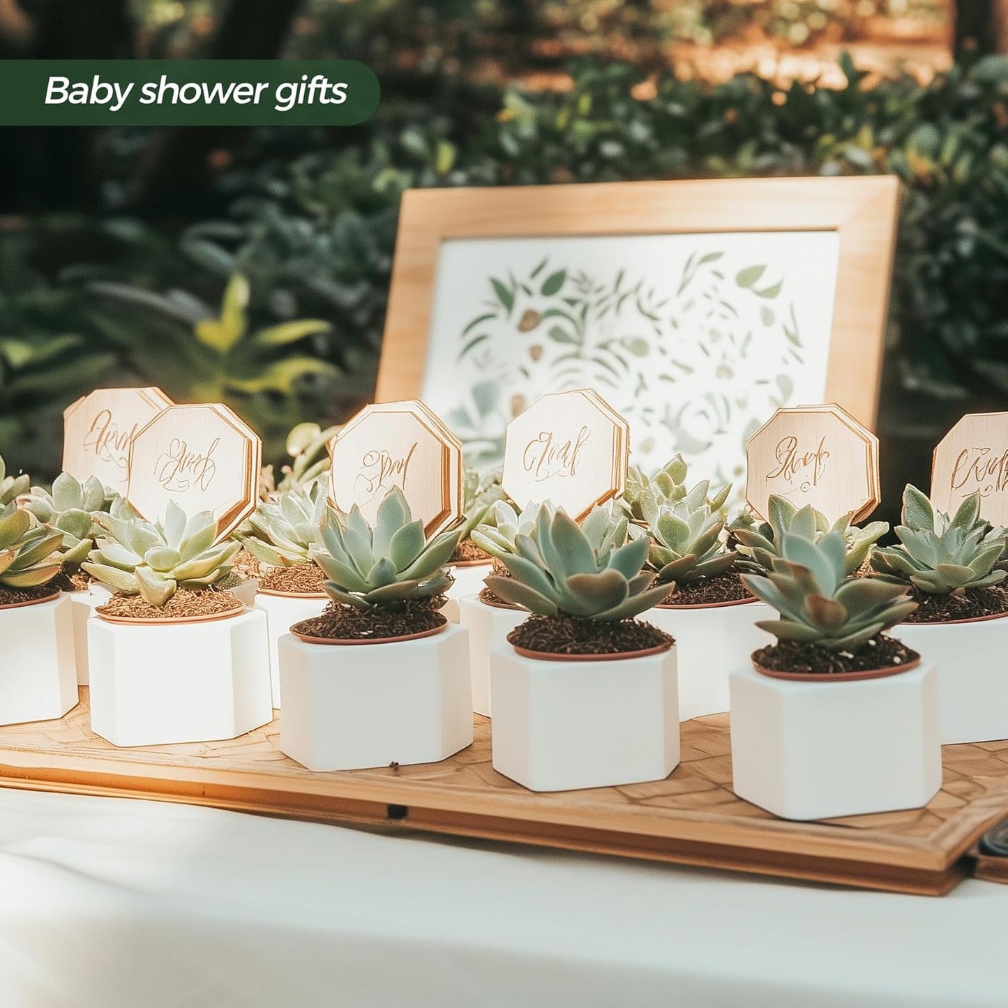 🌵 White Geometric Succulent Planters with Bamboo Trays (Set of 2)