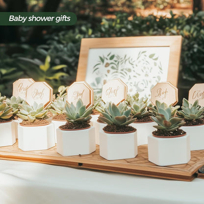 🌵 White Geometric Succulent Planters with Bamboo Trays (Set of 2)