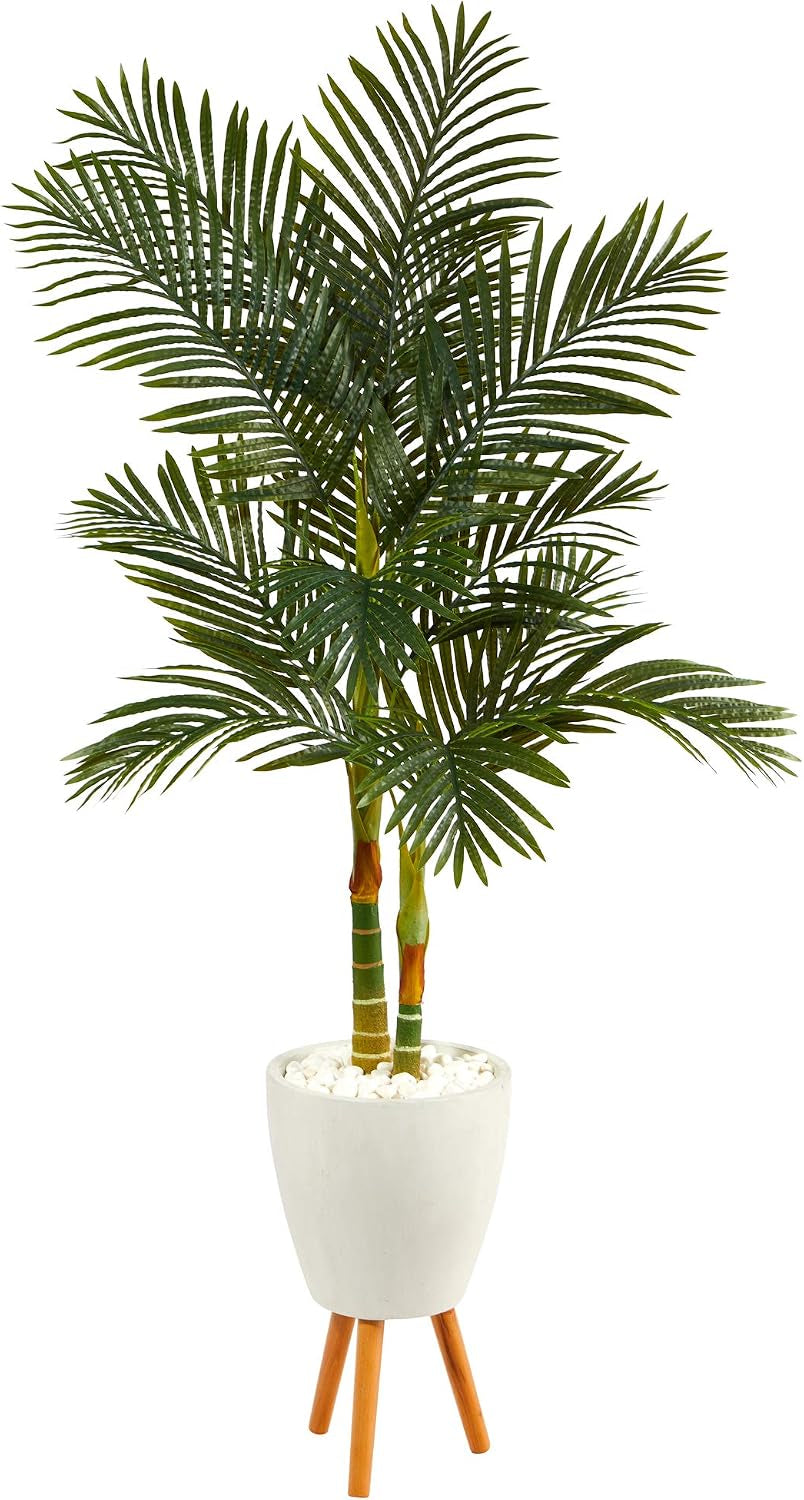 🌴 Golden Cane Palm Tree Triple Pack in Black Pot