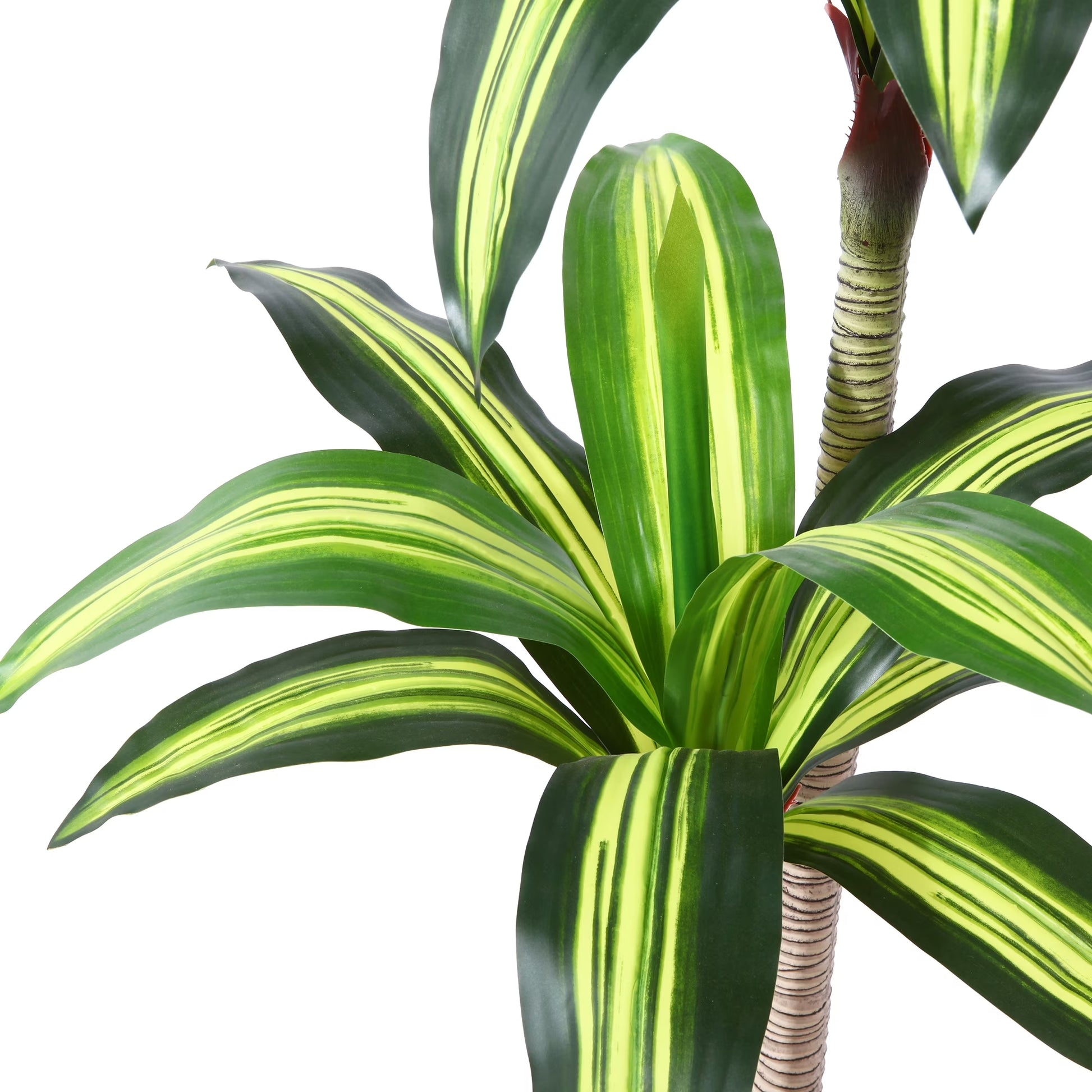 🌿 6-Foot Artificial Dracaena Tree in Black Planter