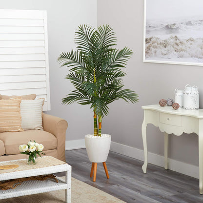 🌴 Golden Cane Palm Tree Triple Pack in Black Pot