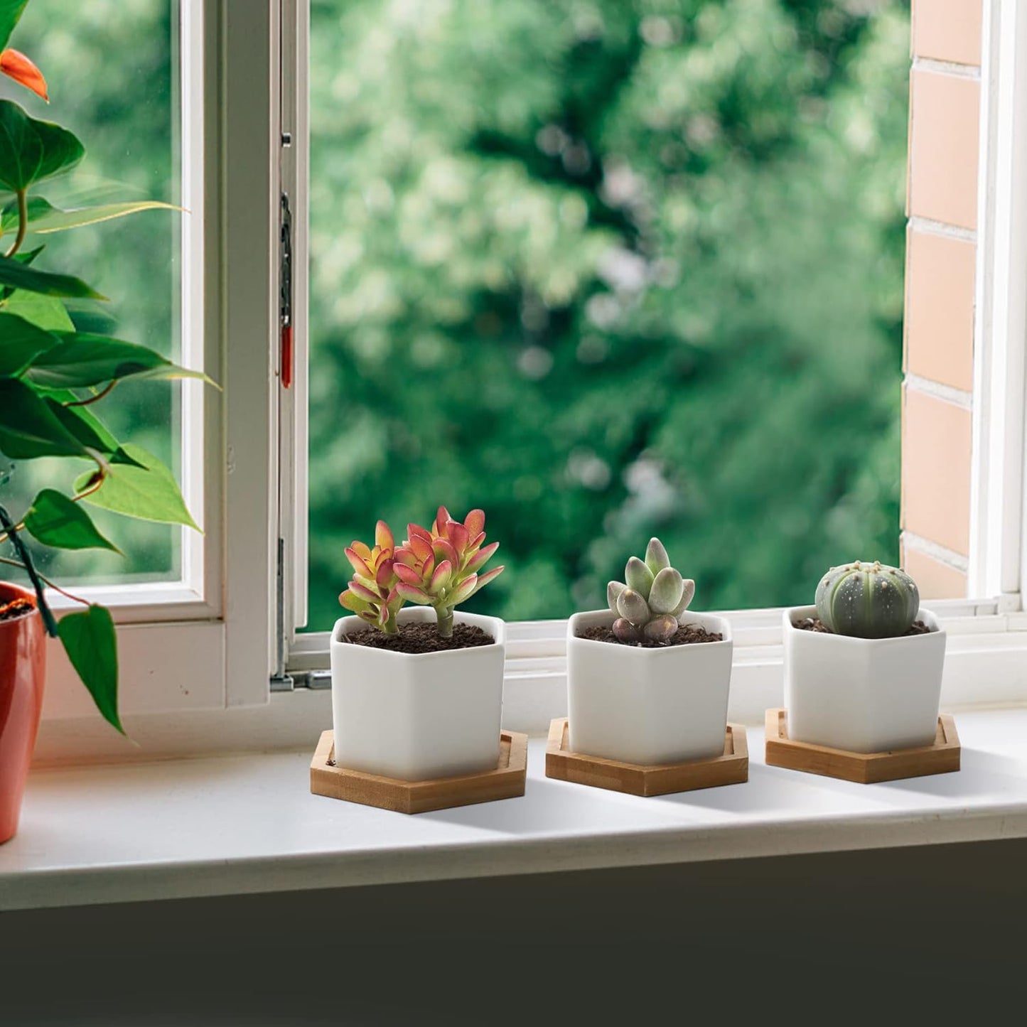 🌵 White Geometric Succulent Planters with Bamboo Trays (Set of 2)