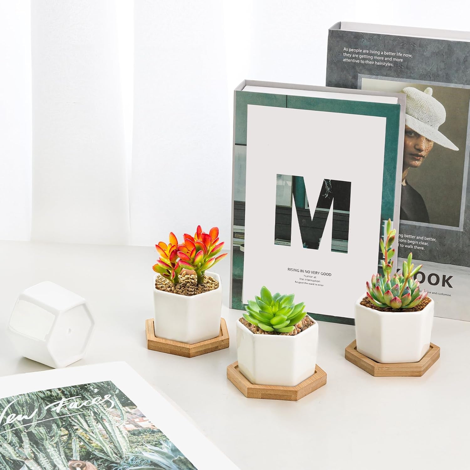 🌵 White Geometric Succulent Planters with Bamboo Trays (Set of 2)